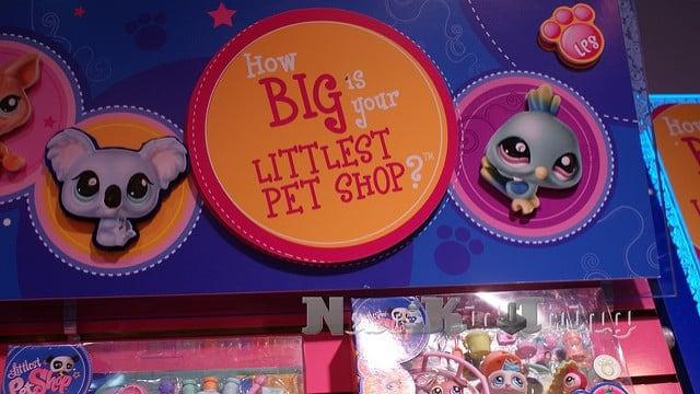 Home • How Big Is Your Little Pet Shop